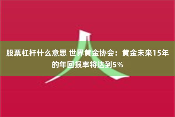 股票杠杆什么意思 世界黄金协会：黄金未来15年的年回报率将达到5%