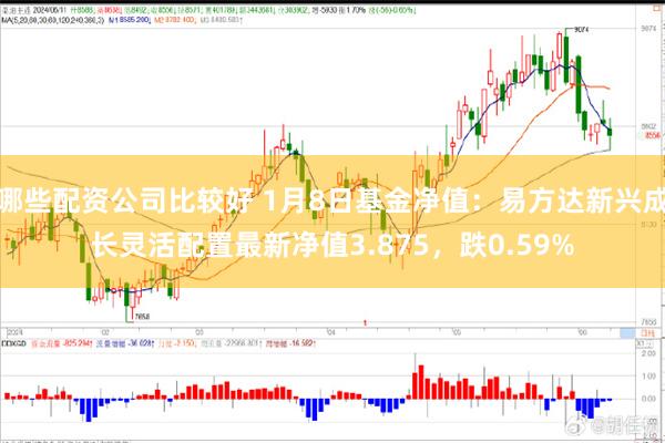 哪些配资公司比较好 1月8日基金净值：易方达新兴成长灵活配置最新净值3.875，跌0.59%