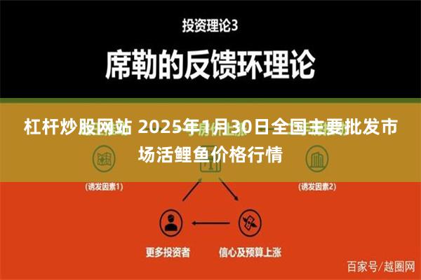 杠杆炒股网站 2025年1月30日全国主要批发市场活鲤鱼价格行情